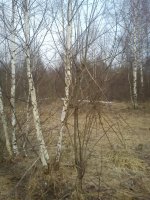 DSC00106.jpg DSC00106.jpg