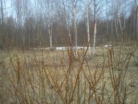 DSC00107.jpg DSC00107.jpg