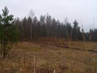 S6300049.jpg S6300049.jpg