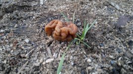 2012-05-04-044.jpg 2012-05-04-044.jpg