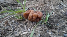 2012-05-04-045.jpg 2012-05-04-045.jpg
