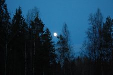IMG_8917.jpg IMG_8917.jpg