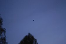 _DSC0132.jpg _DSC0132.jpg