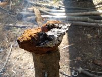 chaga-017.jpg