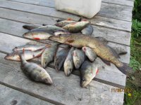 IMG_1271.jpg IMG_1271.jpg