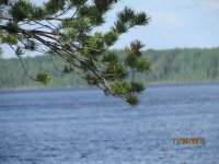 IMG_1279.jpg IMG_1279.jpg