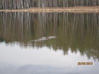 IMG_0010.jpg IMG_0010.jpg