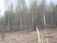 IMG_0049.jpg IMG_0049.jpg