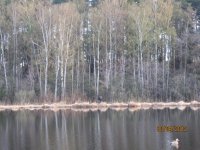 IMG_0065.jpg IMG_0065.jpg