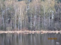 IMG_0066.jpg IMG_0066.jpg