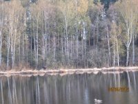 IMG_0067.jpg IMG_0067.jpg