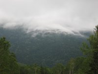 IMG_0158.jpg IMG_0158.jpg