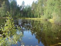 Жизнь прекрасн
.jpg Жизнь прекрасн
.jpg