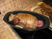 IMG_1427.JPG IMG_1427.JPG