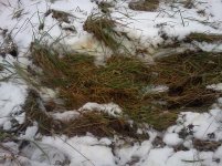 IMG405.jpg IMG405.jpg