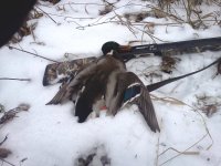 IMG410.jpg IMG410.jpg