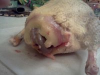 IMG415.jpg IMG415.jpg