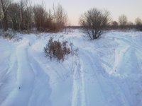 15122012039.jpg 15122012039.jpg
