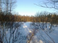 15122012041.jpg 15122012041.jpg