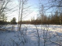 15122012040.jpg 15122012040.jpg