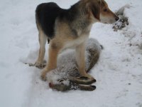 IMG_0451.jpg IMG_0451.jpg