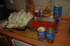DSC_4668.JPG DSC_4668.JPG