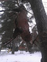 WP_000395.jpg WP_000395.jpg