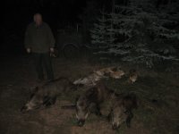 IMG_1996.jpg IMG_1996.jpg