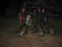 IMG_2003.jpg IMG_2003.jpg