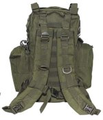 30363Bd1_MOLLE_oliva.jpg