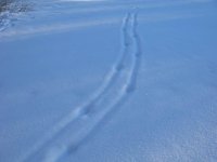 IMG_2796.JPG IMG_2796.JPG