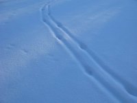 IMG_2797.JPG IMG_2797.JPG