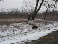 IMG_1938.jpg IMG_1938.jpg