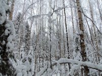 Изображение 033.jpg Изображение 033.jpg