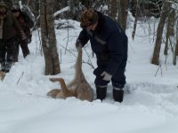 Изображение 042.jpg Изображение 042.jpg