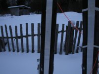 IMG_8863.jpg IMG_8863.jpg