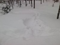 След1.jpg След1.jpg