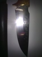 27022012156.jpg 27022012156.jpg