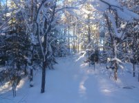 DSC_4507.jpg DSC_4507.jpg