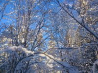 DSC_4508.jpg DSC_4508.jpg