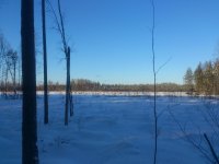 DSC_4512.jpg DSC_4512.jpg