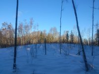 DSC_4513.jpg DSC_4513.jpg