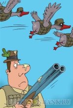 гуси в брониках.jpg