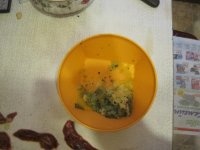 IMG_0034.jpg IMG_0034.jpg
