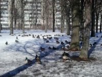 2013-04-06 16.59.58.jpg