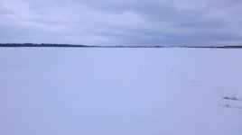 снег в поле 013.jpg