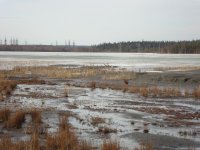 DSC01440.jpg