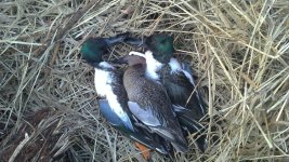 20042013058.jpg 20042013058.jpg