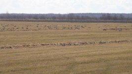 DSC02214.jpg