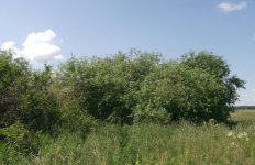 фронт работ.jpg фронт работ.jpg